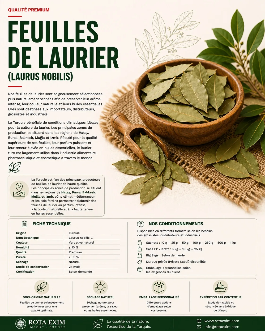 Feuilles de Laurier