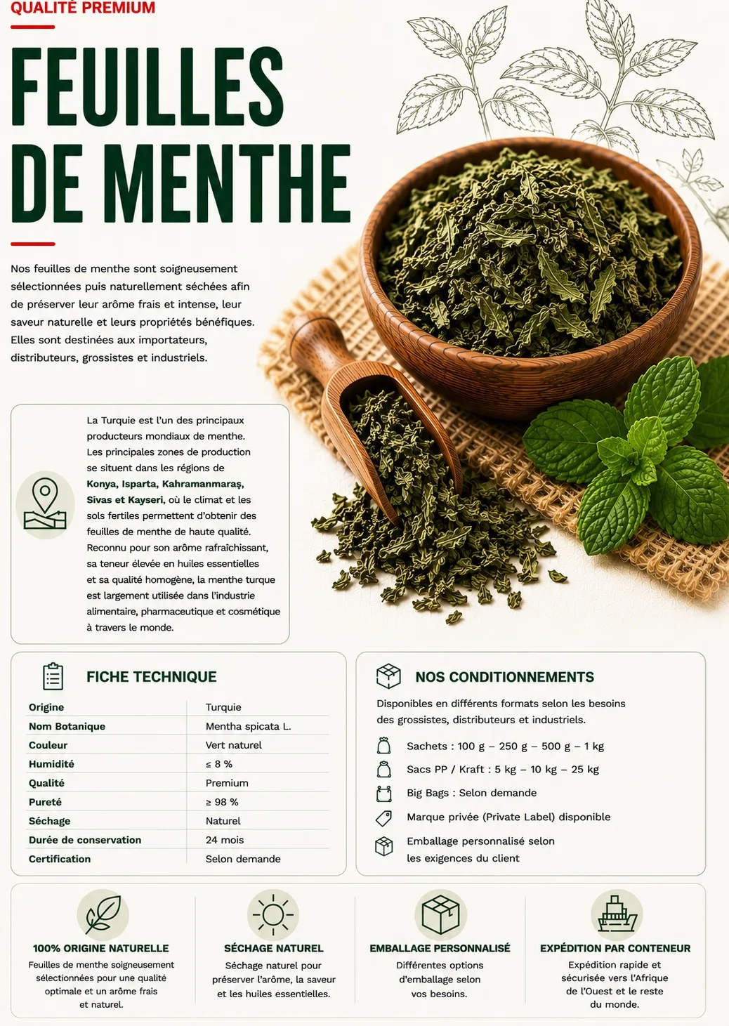 Feuilles de Menthe