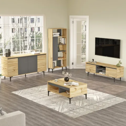 Oliver Ensemble 4 pièces Meuble TV, Table basse, Console et Bibliothèque Feutre-Anthracite OLI14-KA