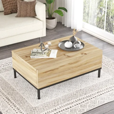 Arya Table basse Pieds métal avec portes Feutre-Noir ARY31-KL